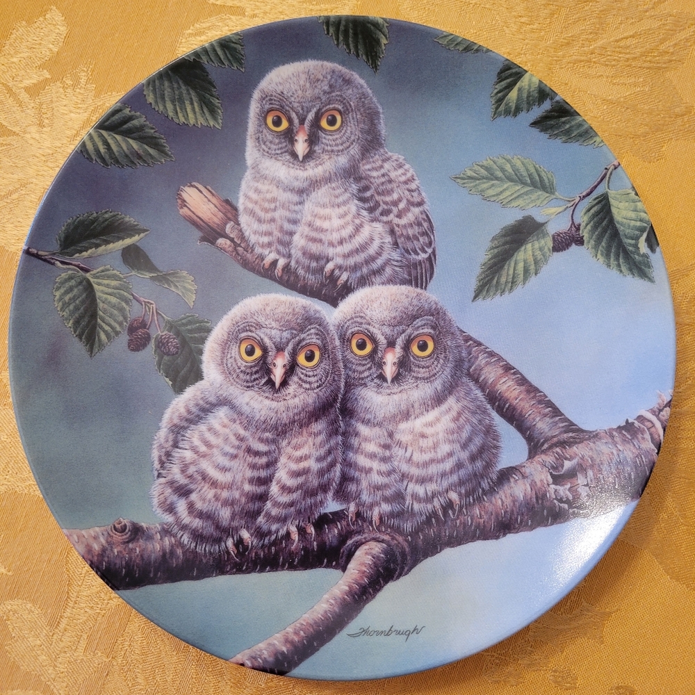 Bradford Exchange Out on a limb Great Gray Owls Collector plate